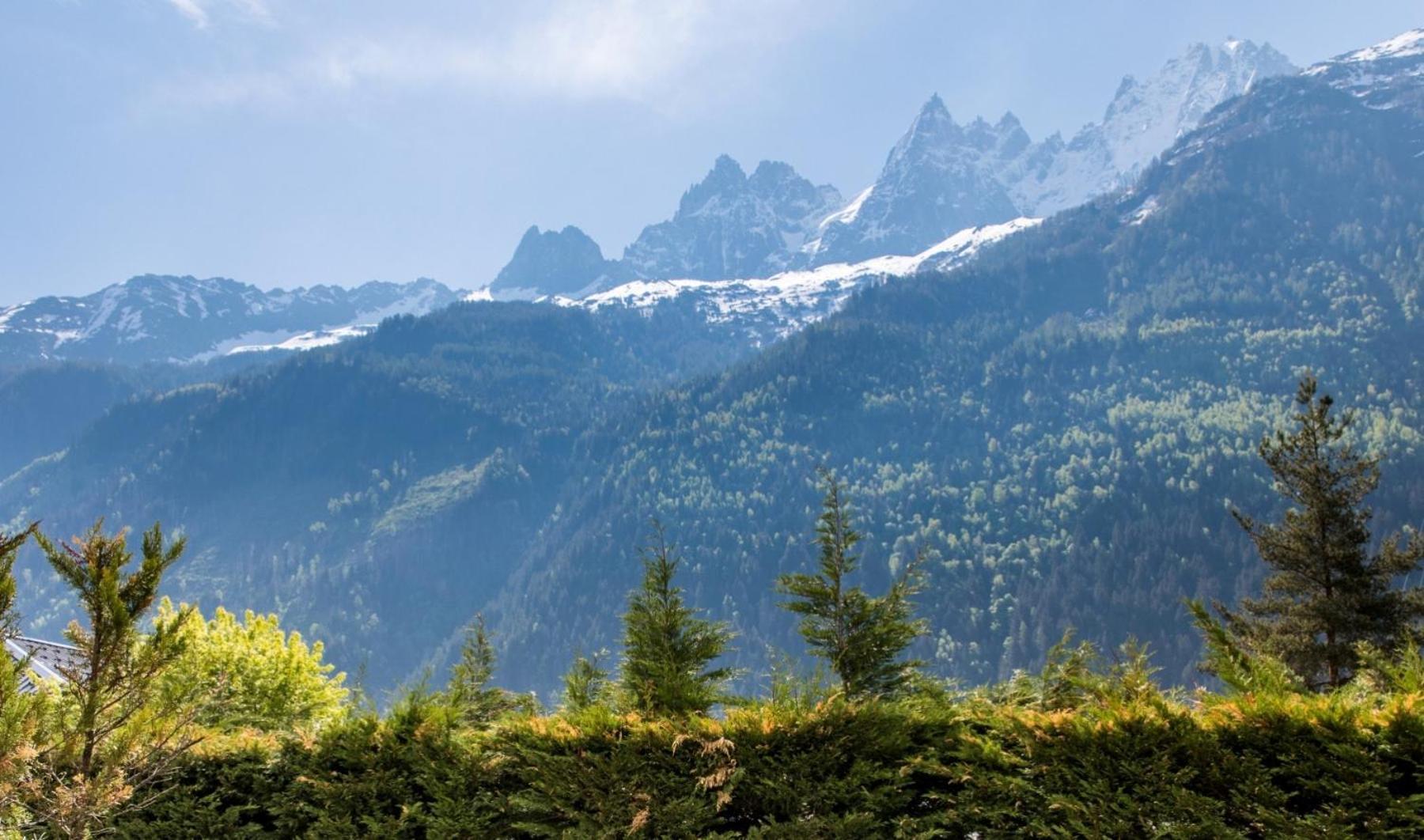 Villa Floria Apartment Chamonix Exterior foto